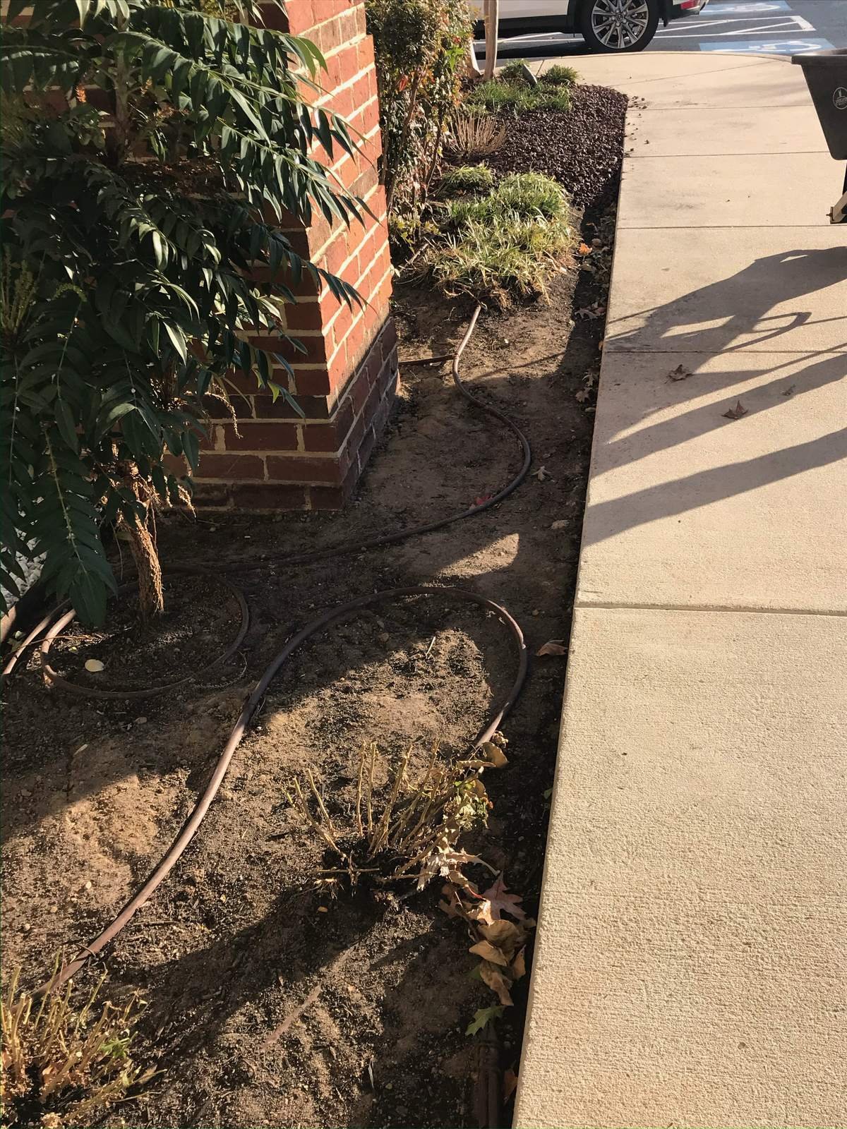 Before: Foundation Planting Bed Install