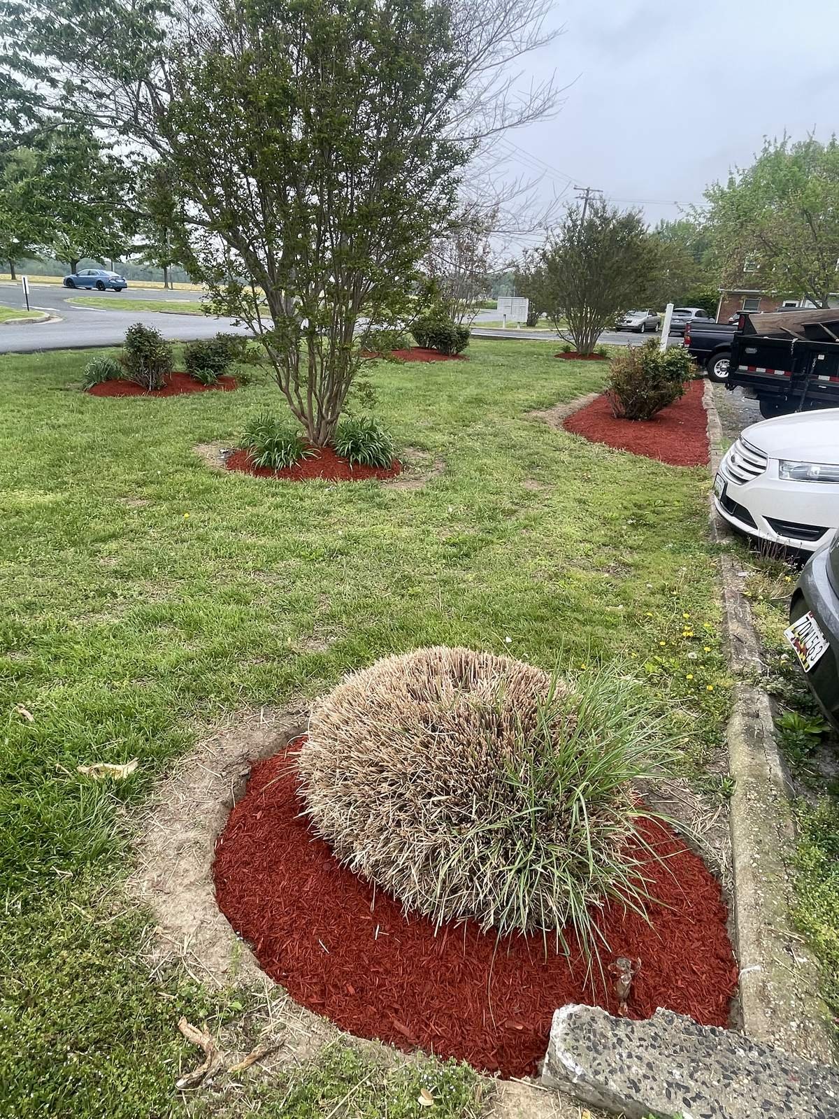 Commercial Tree Ring Mulching — Top Notch Property Services